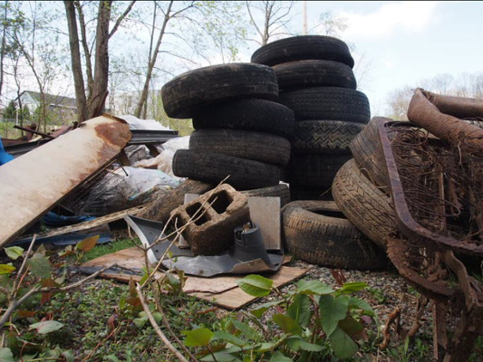 Stream Clean Up Volunteer Event | Spring-Ford Rotary Club